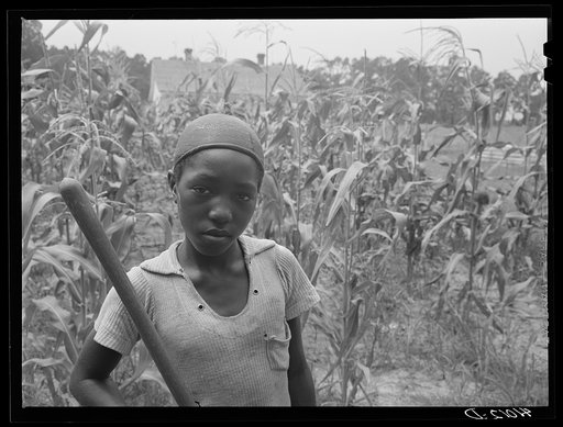 One of the children of FSA (Farm Security Administration) client Harry Handy. The plot of corn as well as the rest of their garden has come about through FSA aid. Scotland, Maryland