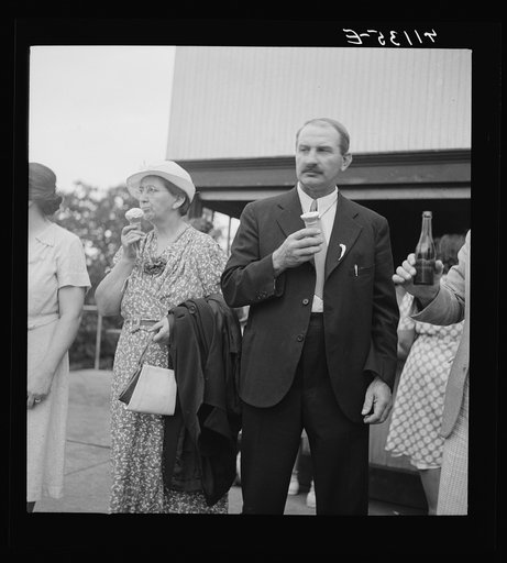 Untitled photo, possibly related to: Members of the Strohl family at a family reunion in Flagstaff Park near Mauch Chunk, Pennsylvania