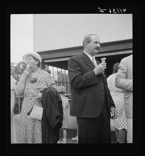 Members of the Strohl family at a family reunion in Flagstaff Park near Mauch Chunk, Pennsylvania