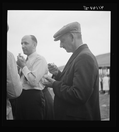 Untitled photo, possibly related to: Members of the Strohl family at a family reunion in Flagstaff Park near Mauch Chunk, Pennsylvania