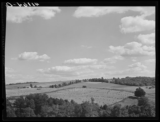 Untitled photo, possibly related to: Farm landscape near Liberty, Pennsylvania, along Route 15