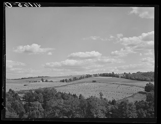 Farm landscape near Liberty, Pennsylvania, along Route 15