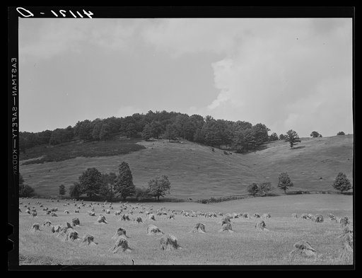 Untitled photo, possibly related to: Farm landscape near Liberty, Pennsylvania, along Route 15