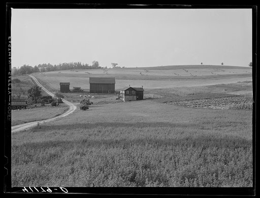 The Knees farm. Near Penfield, Pennsylvania. Members of the Tri-County Farmers Co-op Market at Du Bois, Pennsylvania