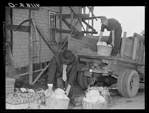 Untitled photo, possibly related to: Loading produce to be taken to Tri-County Farmers Co-op Market in Du Bois, Pennsylvania, at the Knees farm near Penfield, Pennsylvania