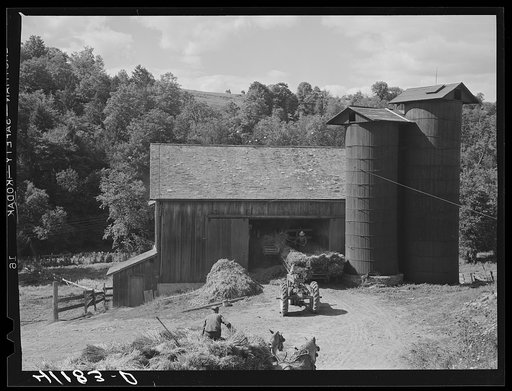 Silos and threshing operations along Route 15 near Liberty, Pennsylvania