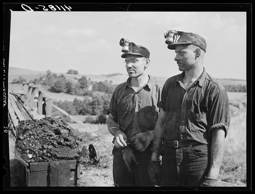 Sons of Mr. Britton, miner-farmer near Falls Creek, Pennsylvania and member of Tri-County Farmers Co-op in Du Bois, Pennsylvania