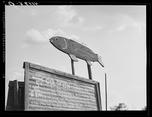 Untitled photo, possibly related to: Sign at Reitz's farm advertising goldfish for sale. Ralph Reitz is a member of the Tri-County Farmers Co-op Market at Du Bois, Pennsylvania. His farm is near Falls Creek, Pennsylvania
