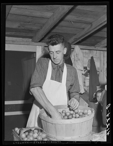 Mr. Cooper, member of board of directors of the Tri-County Farmers Co-op Market at Du Bois, Pennsylvania