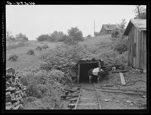 Mine workings on farm of Mr. Merritt Bundy, a member of the Tri-County Farmers Co-op Market at Du Bois, Pennsylvania. His farm is about five miles from Penfield, Pennsylvania