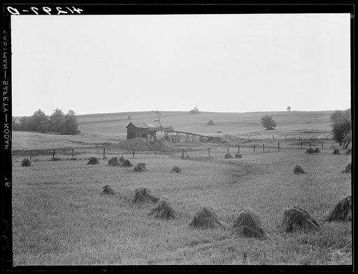 Mine workings on a farm near Saint Mary's, Pennsylvania