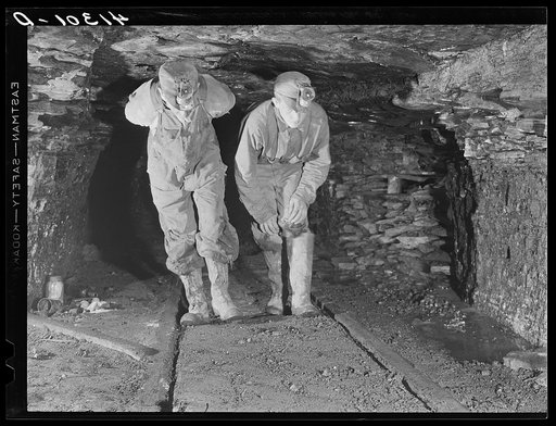 Inside mine workings of Mr. Merritt Bundy at his farm near Penfield. He is a member of the Tri-County Farmers Co-op Market at Du Bois, Pennsylvania