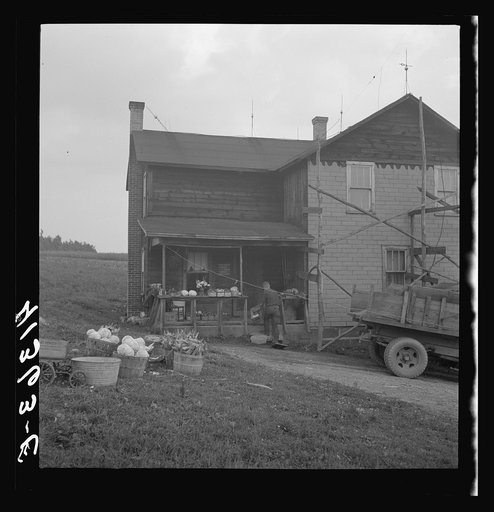 Untitled photo, possibly related to: Mr. Kness, on his farm near Penfield, Pennsylvania, loading produce for sale at the Tri-County Farmers Co-op Market in Du Bois, Pennsylvania