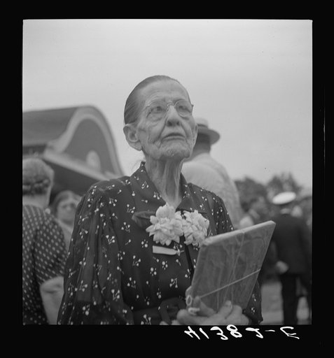 Untitled photo, possibly related to: The oldest member of the Strohl family present at the family reunion at Flagstaff Park, Mauch Chunk, Pennsylvania. She is eighty-five years old