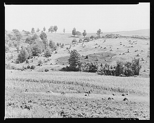 Farm landscape showing recently cleared land near Penfield, Pennsylvania