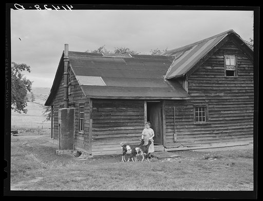 Untitled photo, possibly related to: Mrs. Ben Harris, feeding her goats outside her house in the submarginal farm area of Rumsey Hill, near Erin, New York