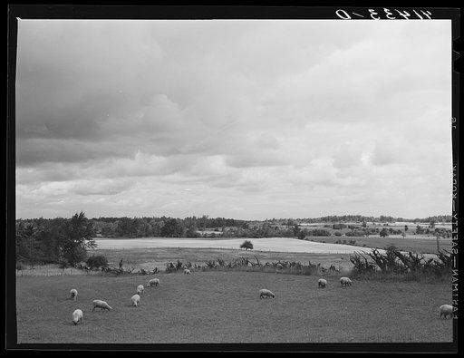 Landscape along the Mud Lake Road near Watkins Glen, New York