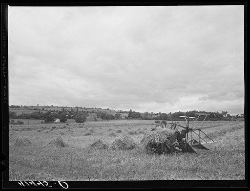 Landscape near Ithaca, New York