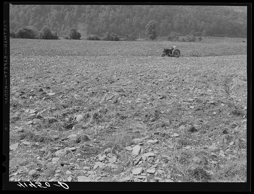 Tilling field, showing rocky soil along Route 34, three miles north of Spencer, New York