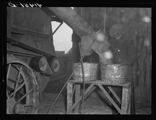 Threshing in the barn of Mr. Alfred Shaffner. A farmer in the submarginal farm area of Sugar Hill, near Townsend , New York
