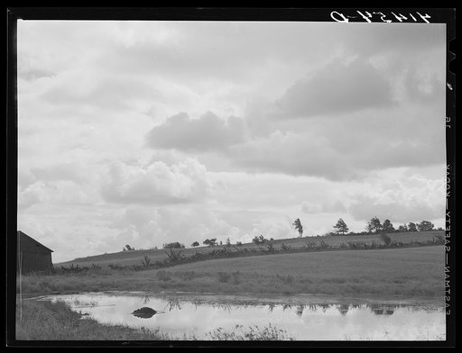 Untitled photo, possibly related to: Just before a storm along the Mud Lake Road near Townsend, New York
