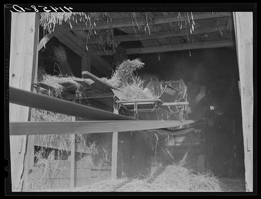 Untitled photo, possibly related to: Threshing in the barn of Mr. Alfred Shaffner in the submarginal area of Sugar Hill, near Townsend, New York