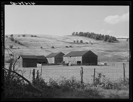 Landscape and barn showing the type of country in Sugar Hill, submarginal area near Townsend, New York