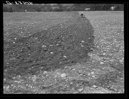Tilling field, showing rocky soil along Route 34, three miles north of Spencer, New York