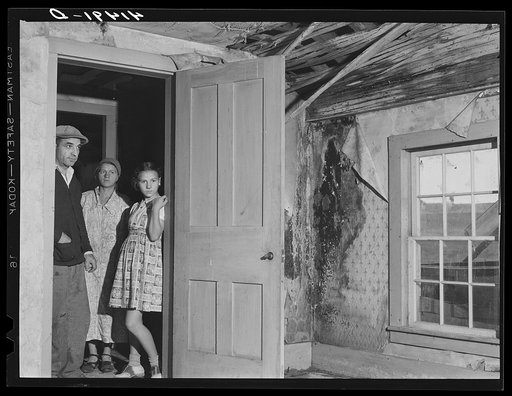Mr. and Mrs. D'Anunnzio and their little girl, showing the condition of the roof in their house in the submarginal area of Rumsey Hill, near Erin, New York