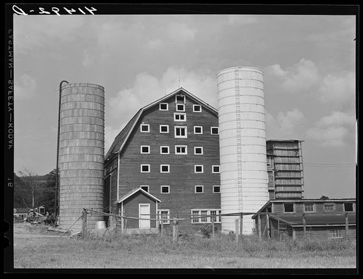 Untitled photo, possibly related to: A dairy farm two miles north of Spencer, New York