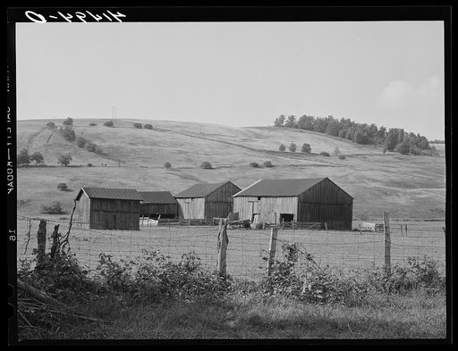 Untitled photo, possibly related to: Landscape and barn showing the type of country in Sugar Hill, submarginal area near Townsend, New York