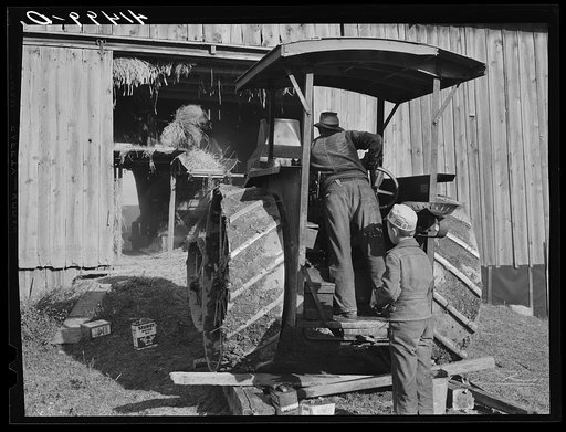 Threshing at the farm of Mr. Alfred Shaffner a FSA (Farm Security Administration) client who lives in the submarginal area of Sugar Hill, near Townsend, New York