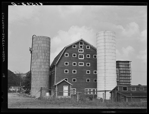 A dairy farm two miles north of Spencer, New York