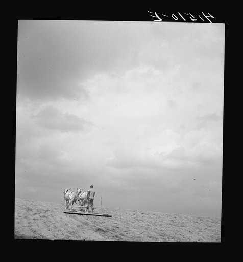 Untitled photo, possibly related to: Young Negro farmer working in the field of Mr. Miller's farm. Mr. Miller is the only Negro farmer in the submarginal area of Rumsey Hill, near Erin, New York