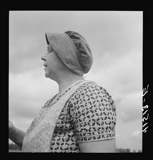 Untitled photo, possibly related to: Farm woman was working in fields along Route 79, just outside Ithaca, New York