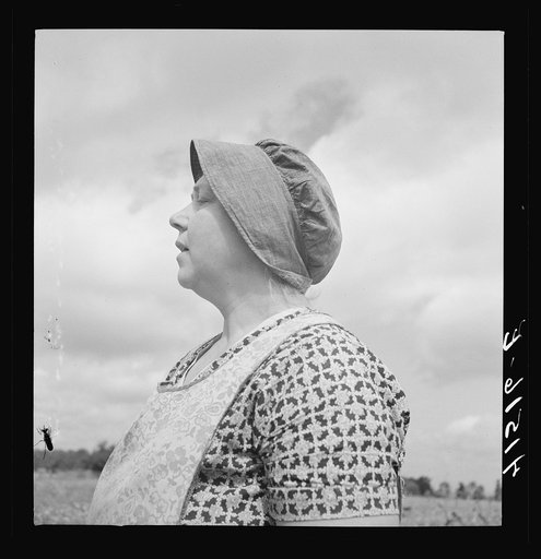 Farm woman was working in fields along Route 79, just outside Ithaca, New York