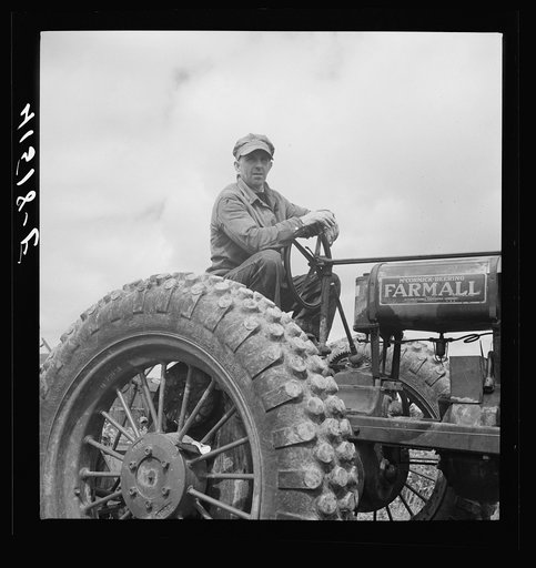 Untitled photo, possibly related to: Farmer cutting a field of buckwheat along Route 79, near Ithaca, New York