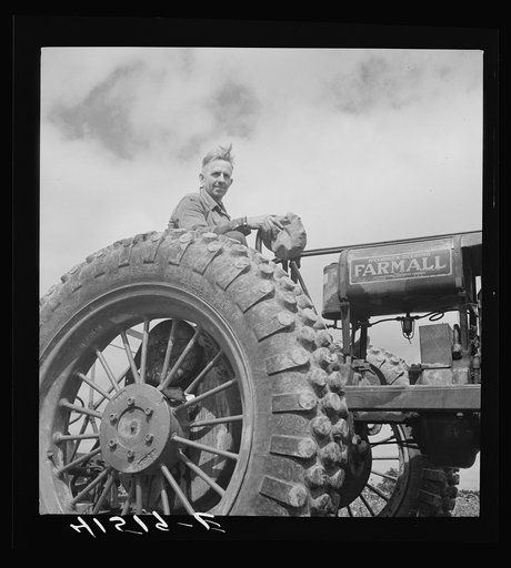 Farmer cutting a field of buckwheat along Route 79, near Ithaca, New York