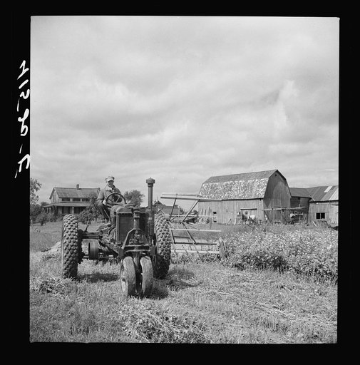 Untitled photo, possibly related to: Farmer cutting a field of buckwheat along Route 79, near Ithaca, New York