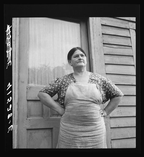 Untitled photo, possibly related to: Mrs. Morrison farms in the submarginal area of Rumsey Hill, near Erin, New York