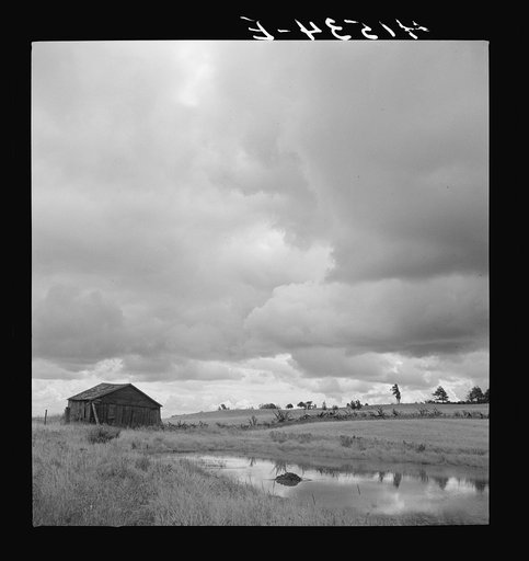 Untitled photo, possibly related to: Just before a storm along the Mud Lake Road near Townsend, New York