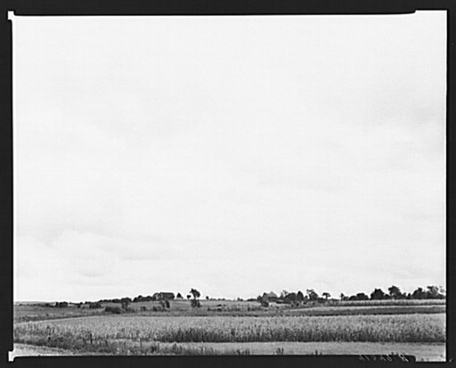 Landscape off the Mud Lake Road near Watkins Glen, New York
