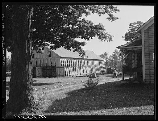 Tobacco barn on the farm of Mrs. Mary Smith, Polish-American tobacco farmer. Near Thompsonville, Connecticut