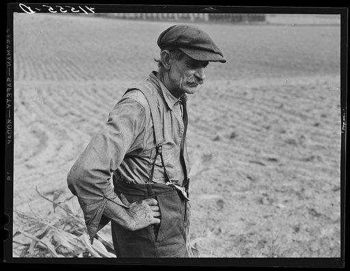 Connecticut farmer. Had just finished stacking his corn. Suffield, Connecticut