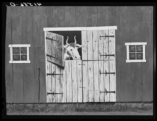 Untitled photo, related to: painting on a barn near Thompsonville, Connecticut, along Route 5