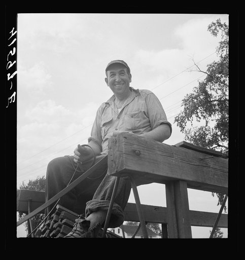 Mr. Fred Schoenleber. Has a thirty-six acre tobacco farm near Warehouse Point, Connecticut. A crew of thirty were being employed to harvest the crop