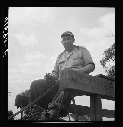 Untitled photo, possibly related to: Mr. Fred Schoenleber. Has a thirty-six acre tobacco farm near Warehouse Point, Connecticut. A crew of thirty were being employed to harvest the crop