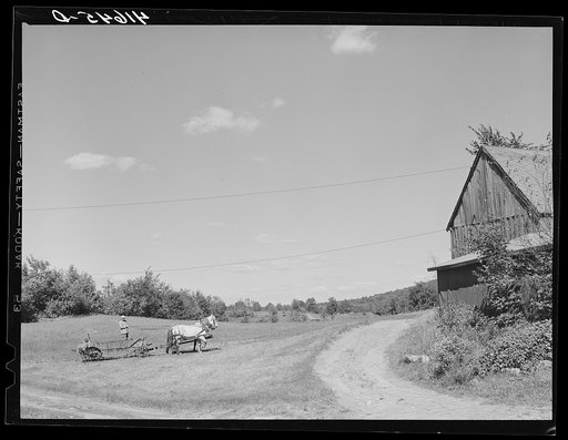 Mr. Arthur Wolf driving his team of horses on his farm in North Branford, Connecticut