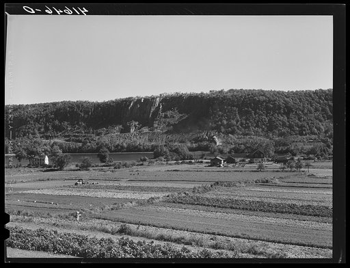 Untitled photo, possibly related to: Truck farms just outside New Haven, Connecticut