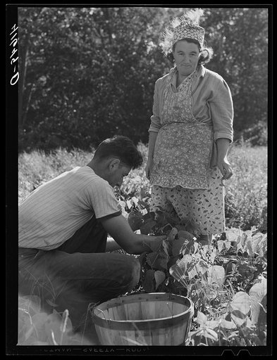 Untitled photo, possibly related to: Mrs. Louis Saffer and one of her sons. Jewish truck farmers near Branford, Connecticut